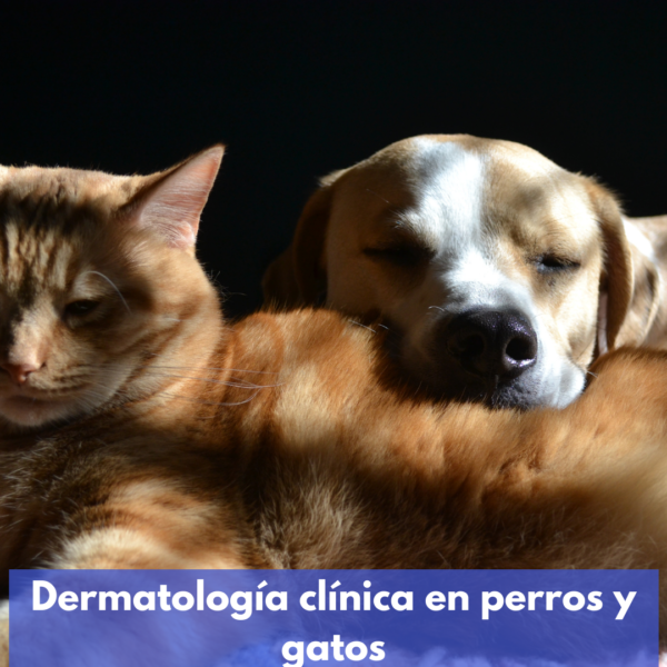 Dermatología Clínica En Perros Y Gatos