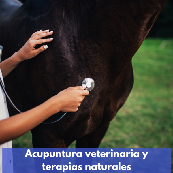 Acupuntura Veterinaria Y Terapias Naturales