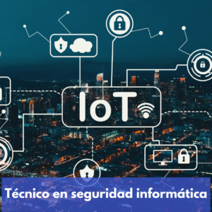 Técnico en seguridad informática