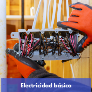 Técnico Profesional en Electricidad