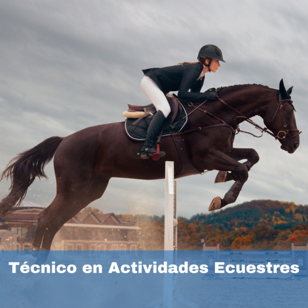 Técnico En Actividades Ecuestres