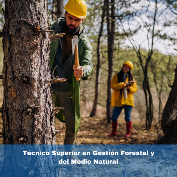 Técnico Superior En Gestión Forestal Y Del Medio Natural