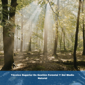 Técnico Superior en Gestión Forestal y del Medio Natural